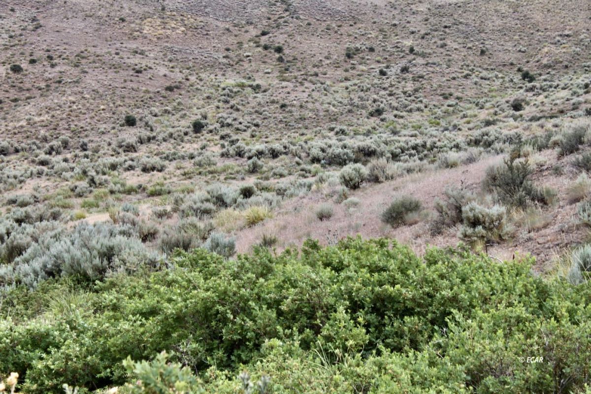 5th Street Elko, NV 89801 - Photo 19 of 20