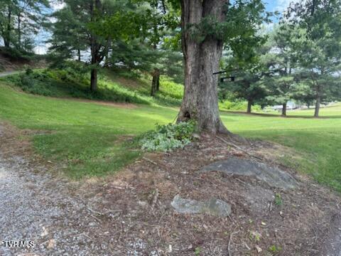 19004 Cleveland Road Abingdon, VA 24211 - Photo 3 of 57 IMG_2918 (1)