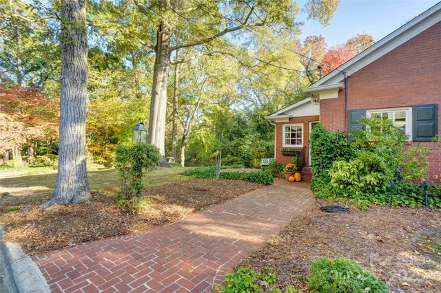 a view of a yard with plants and trees