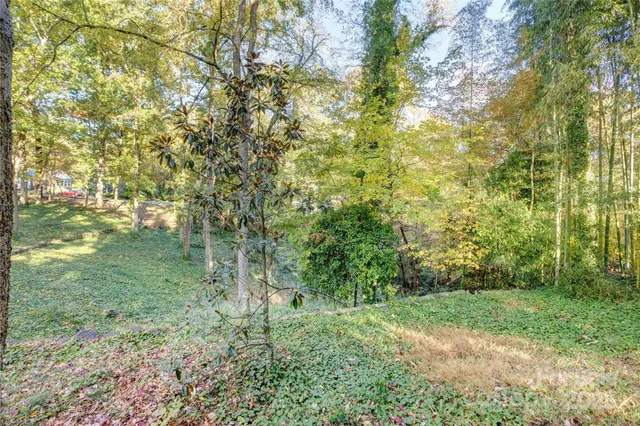 a view of outdoor space and trees