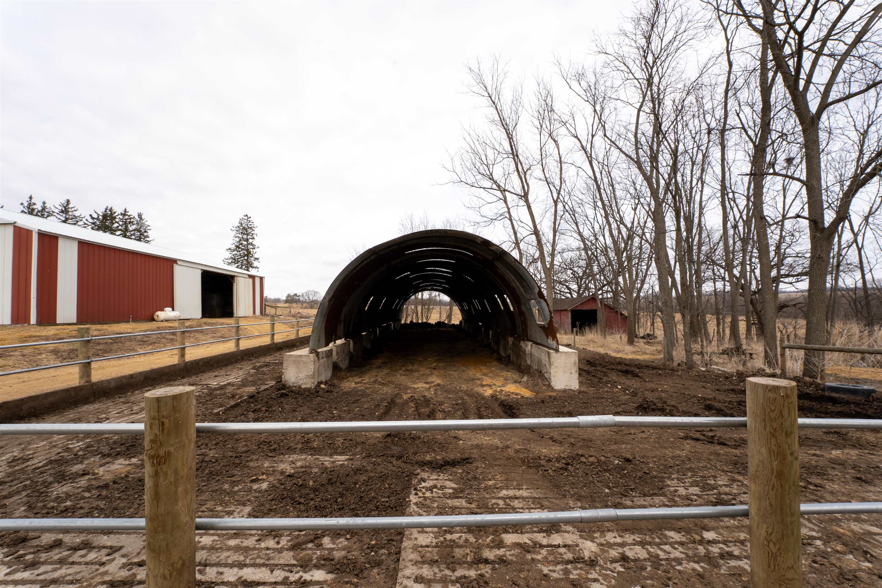 3651 North Brookville Road Forreston, IL 61030 - Photo 31 of 66 a front view of a house with parking yard