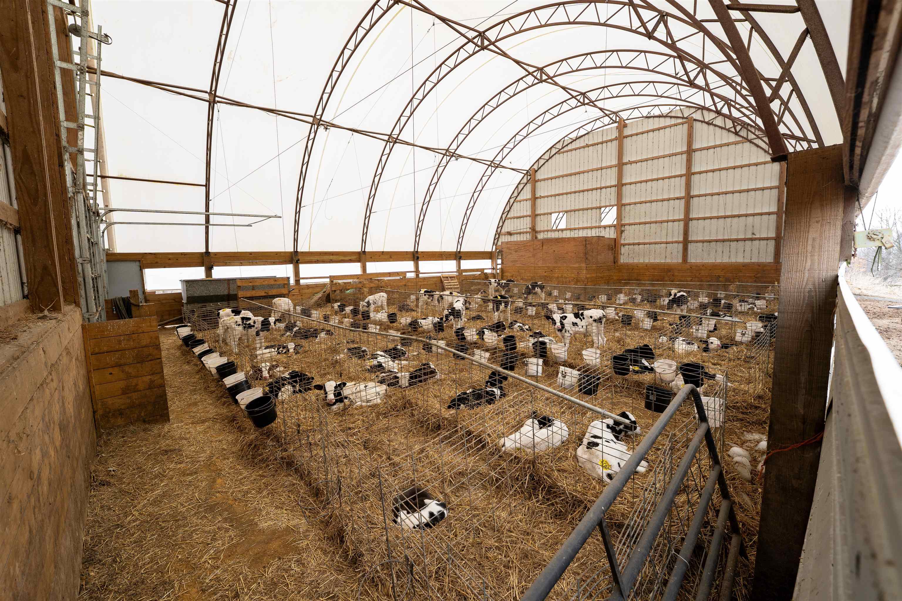 3651 North Brookville Road Forreston, IL 61030 - Photo 34 of 66 a view of a entryway