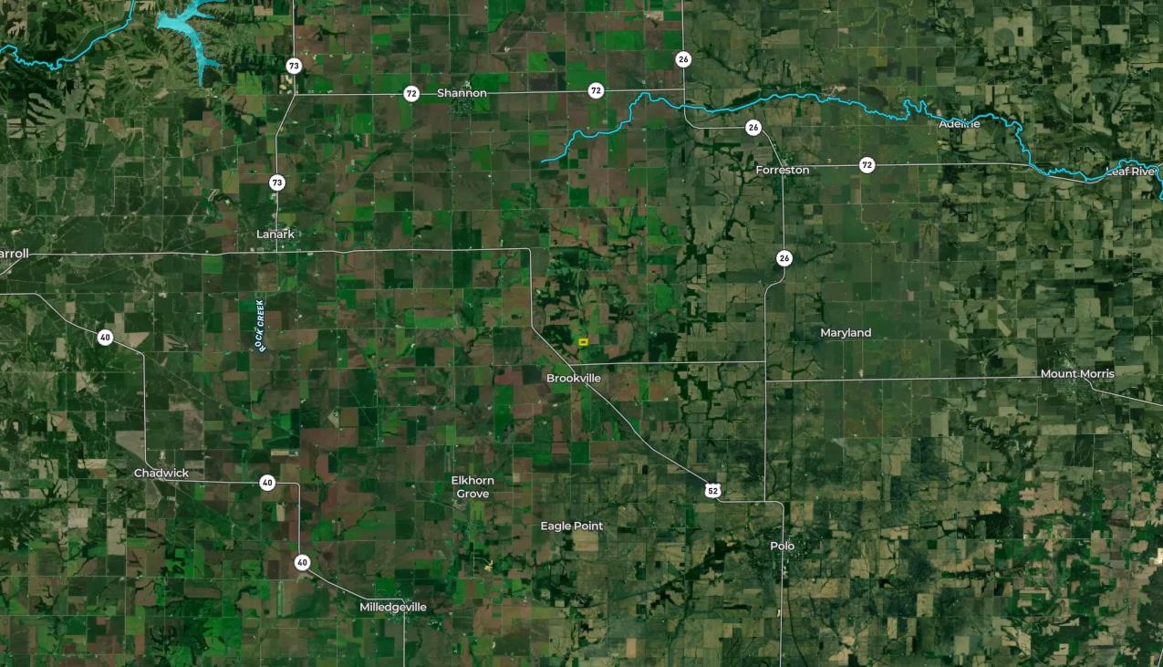 3651 North Brookville Road Forreston, IL 61030 - Photo 42 of 66