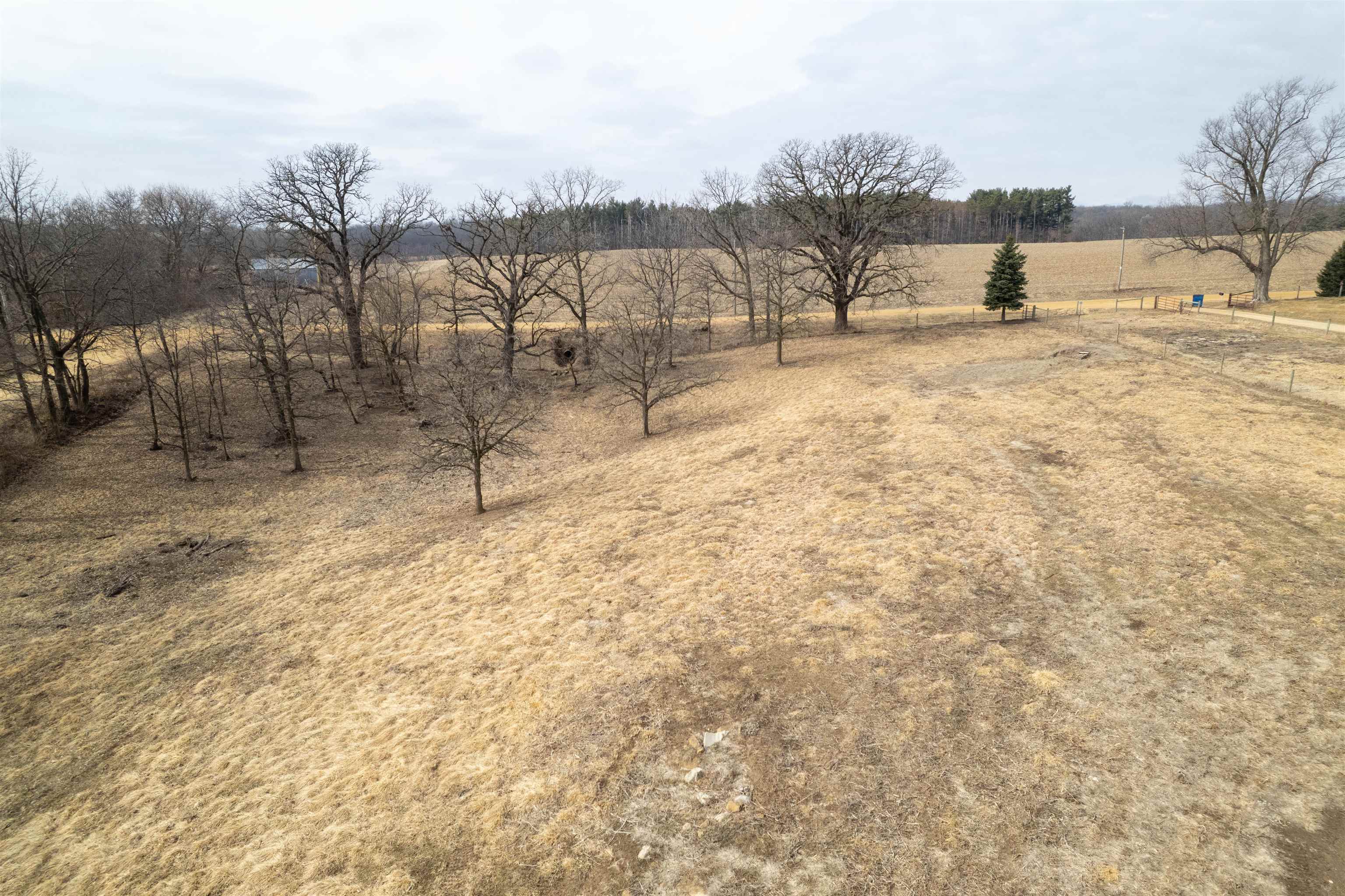 3651 North Brookville Road Forreston, IL 61030 - Photo 50 of 66 a view of a yard with a snow on the road