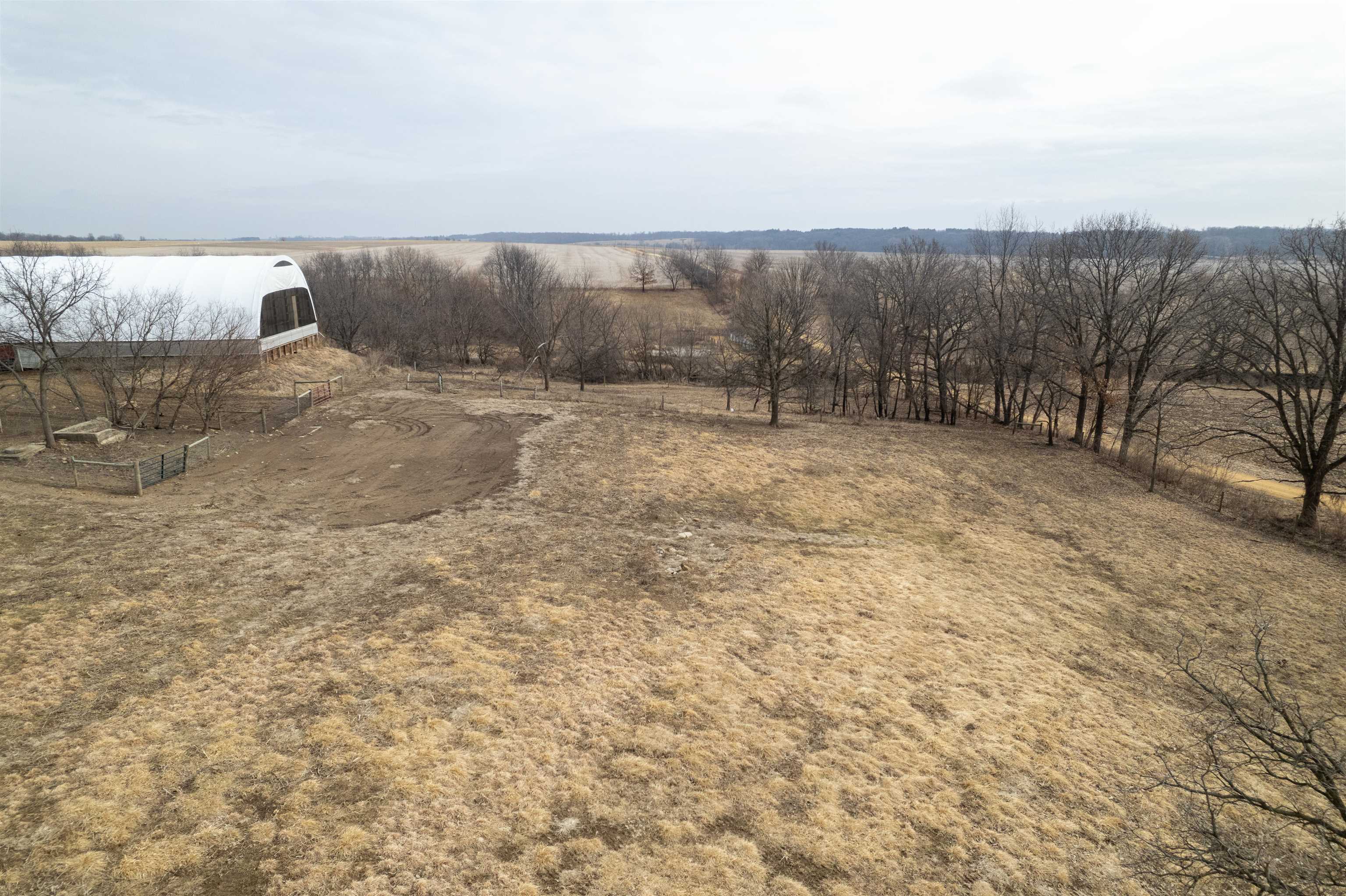 3651 North Brookville Road Forreston, IL 61030 - Photo 51 of 66 a view of a dry yard with trees