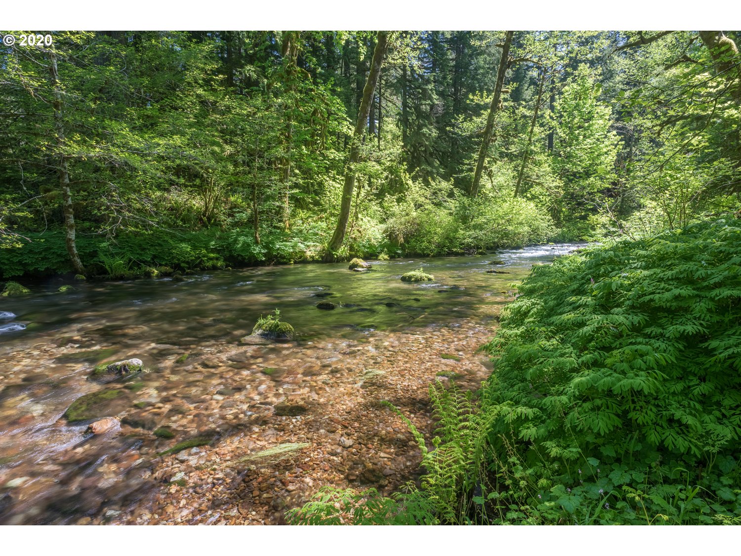 28788 Still Creek Road Rhododendron, OR 97049 - Photo 3 of 32 Gallery Image 3