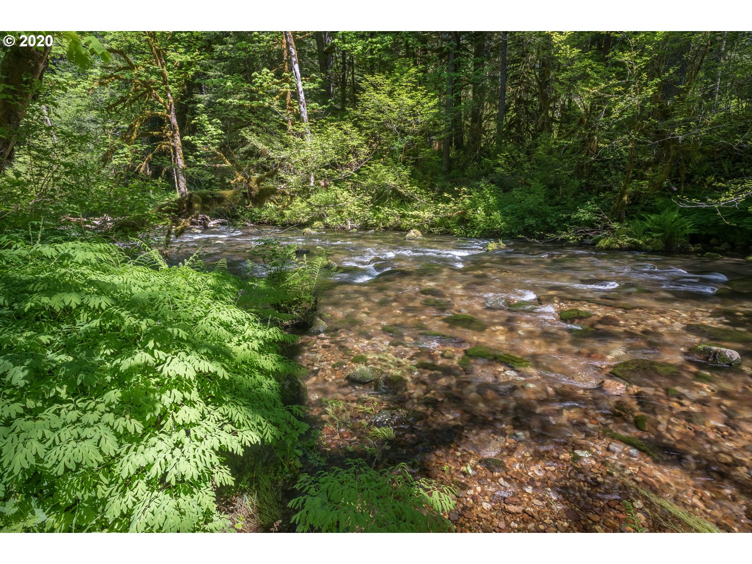 28788 Still Creek Road Rhododendron, OR 97049 - Photo 32 of 32 Gallery Image 32