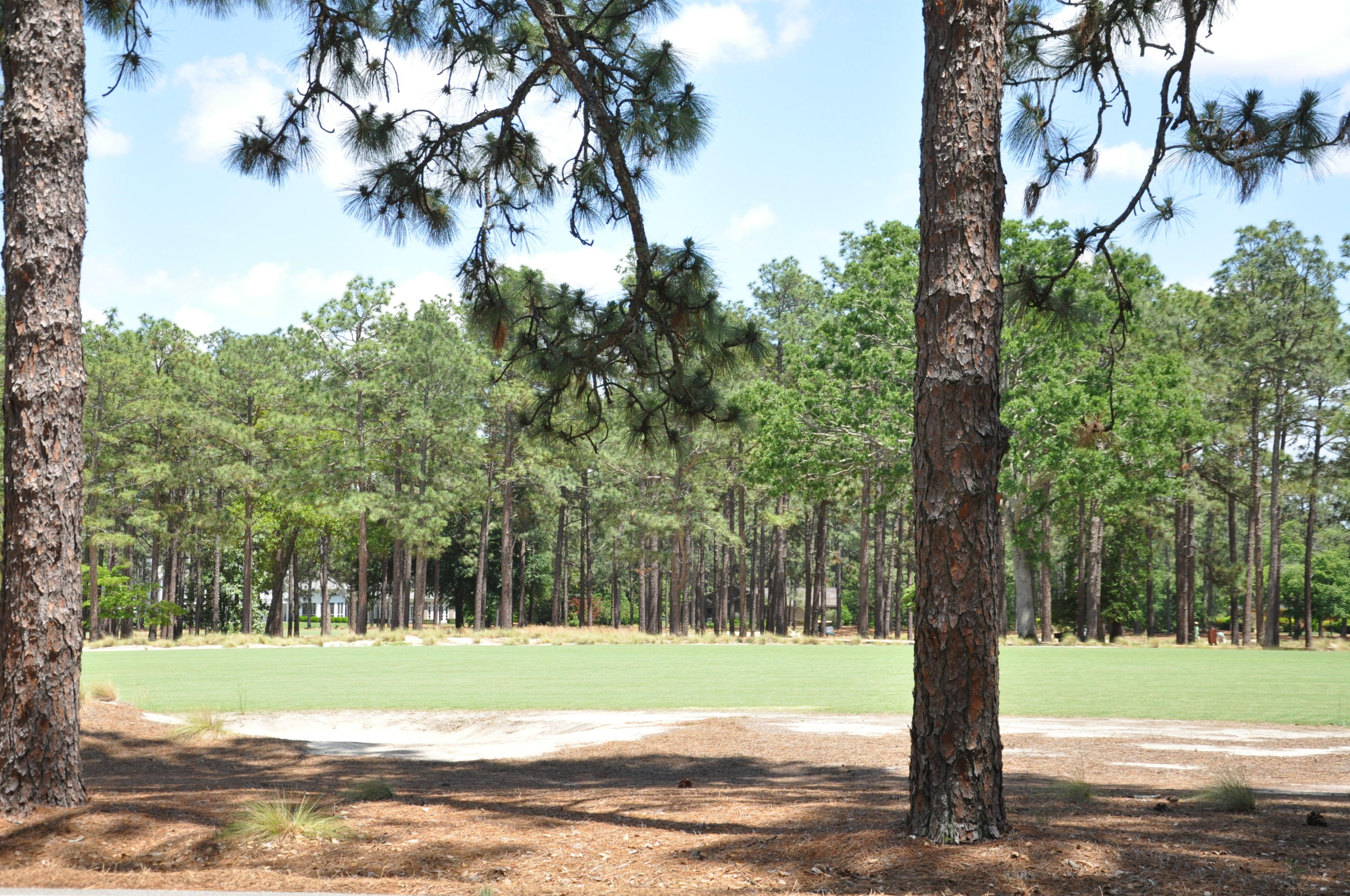 30 Laurel Road Pinehurst, NC 28374 - Photo 35 of 38 DSC_0034
