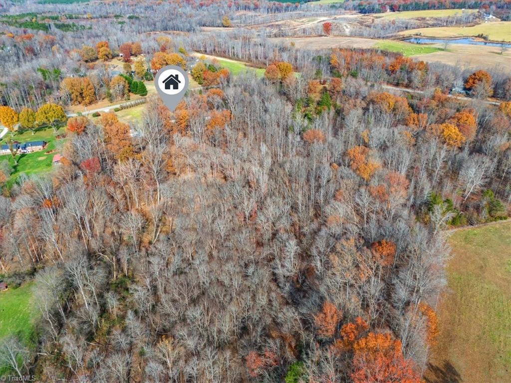 830 Worsham Mill Road Ruffin, NC 27326 - Photo 15 of 19