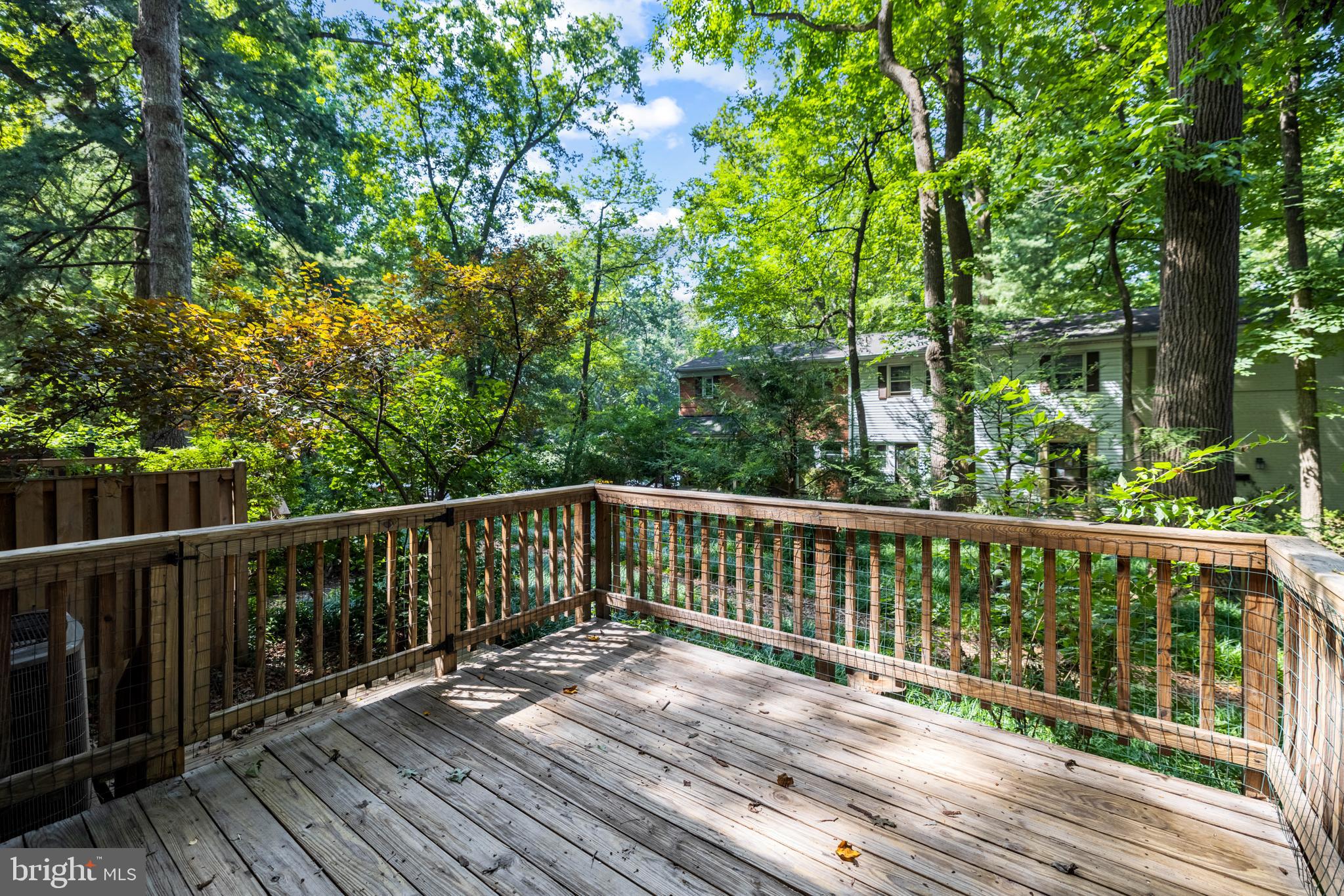 8610 Geren Road, Unit 166 Silver Spring, MD 20901 - Photo 29 of 34 Overlooking trees and foot path