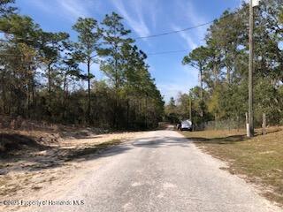 Lot 13 Colonel Avenue Webster, FL 33597 - Photo 5 of 8