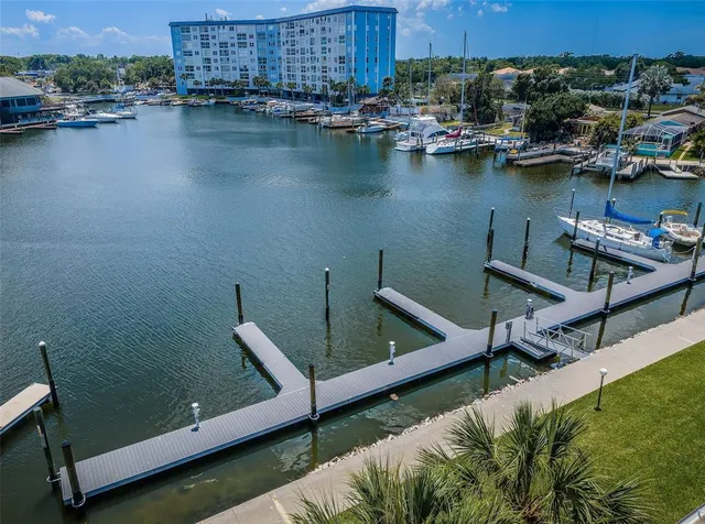 an aerial view of a house with a garden