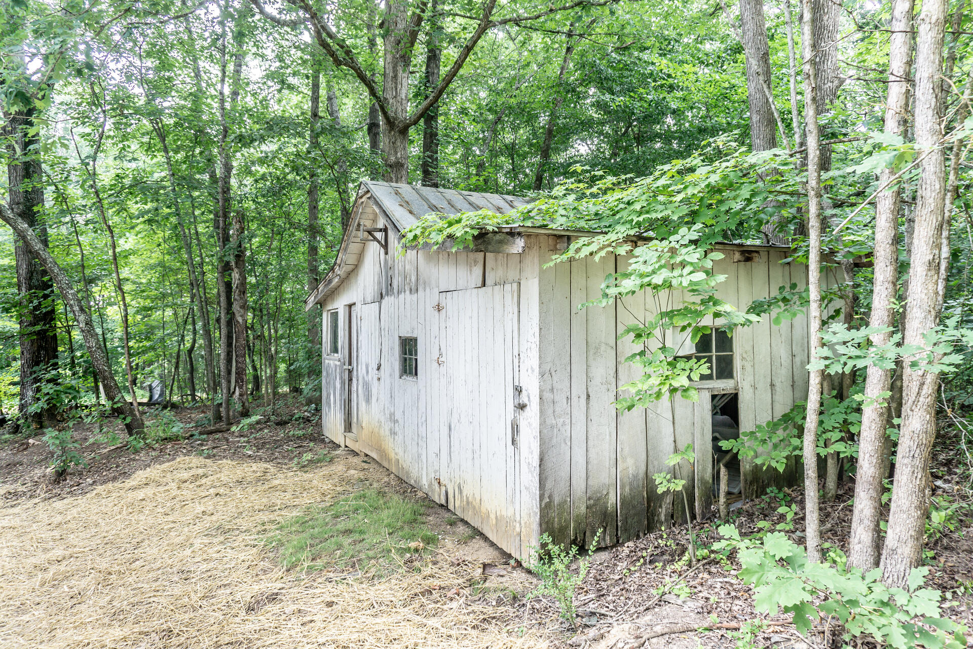 290 Hartman Road Greeneville, TN 37743 - Photo 47 of 72 290HartmanG_057