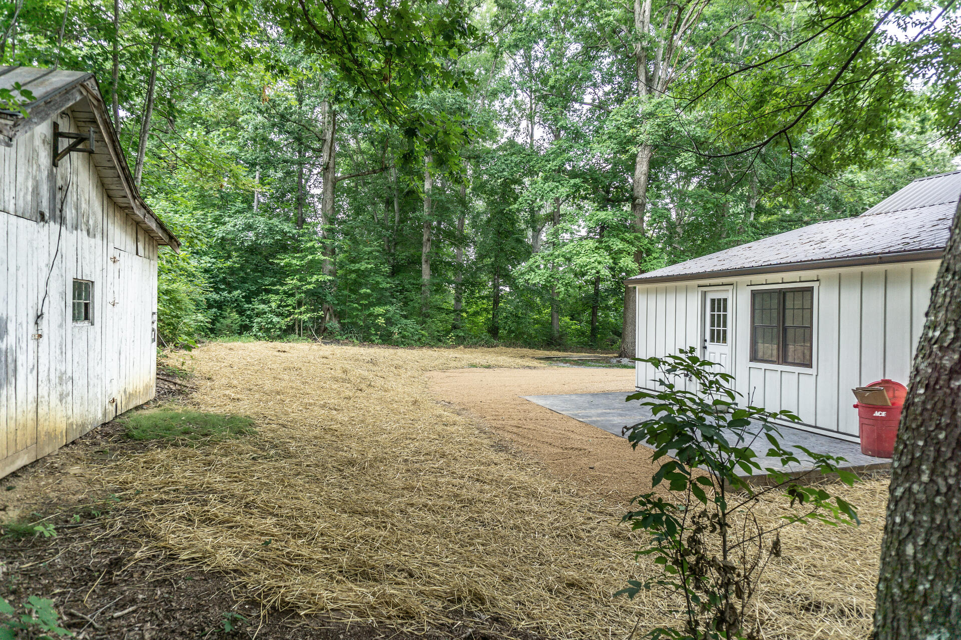 290 Hartman Road Greeneville, TN 37743 - Photo 48 of 72 290HartmanG_060
