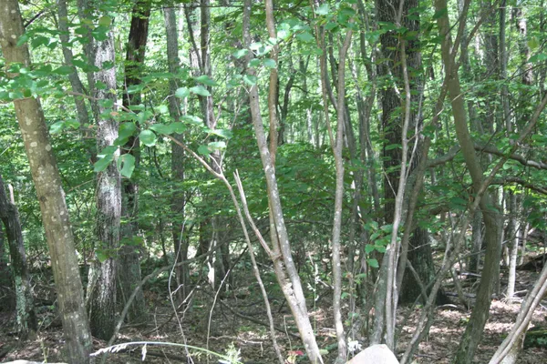 $25,000 | Tbd High Valley Drive South, Monterey, VA 24465