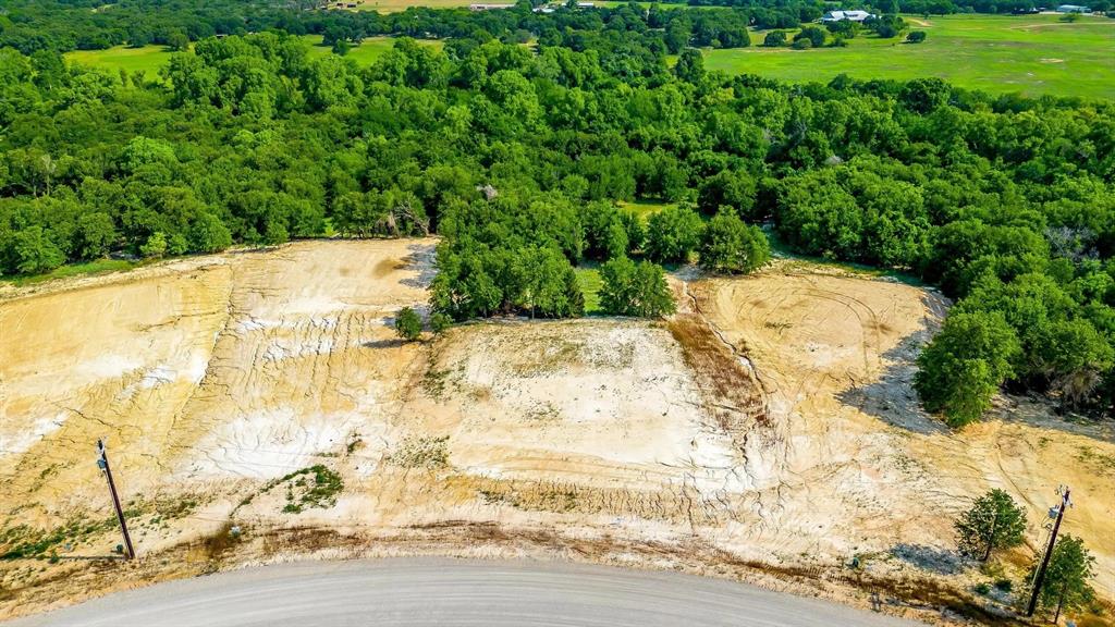 269 Zebrastone Poolville, TX 76487 - Photo 2 of 3