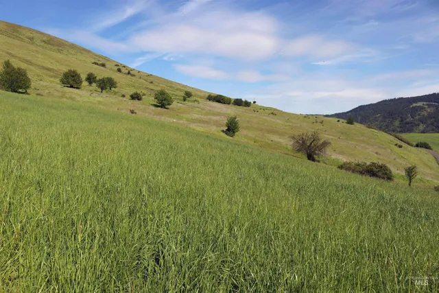 $261,900 | Tbd Sunnyside Bench Road, Lenore, ID 83541