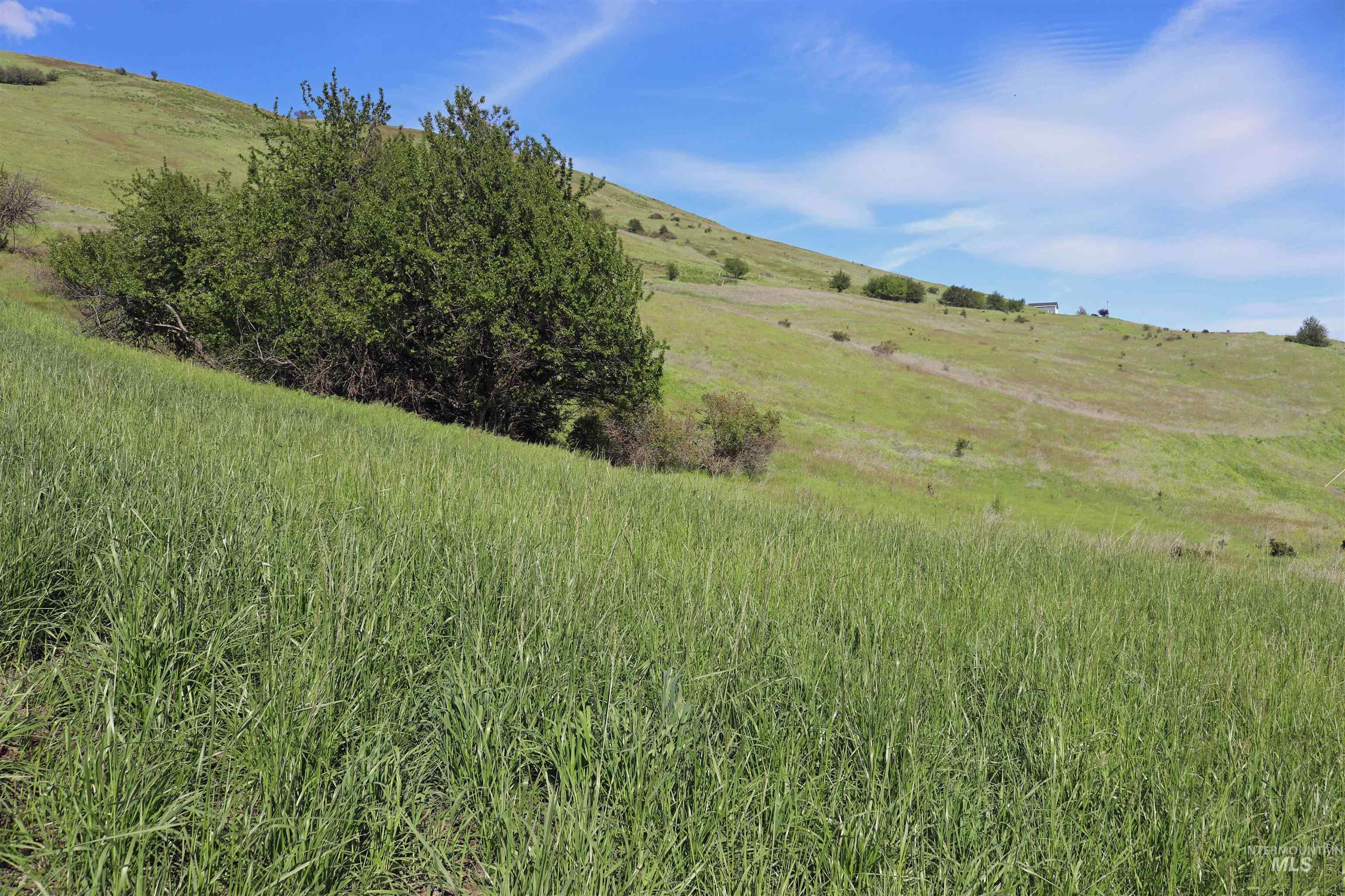Tbd Sunnyside Bench Road Lenore, ID 83541 - Photo 13 of 37