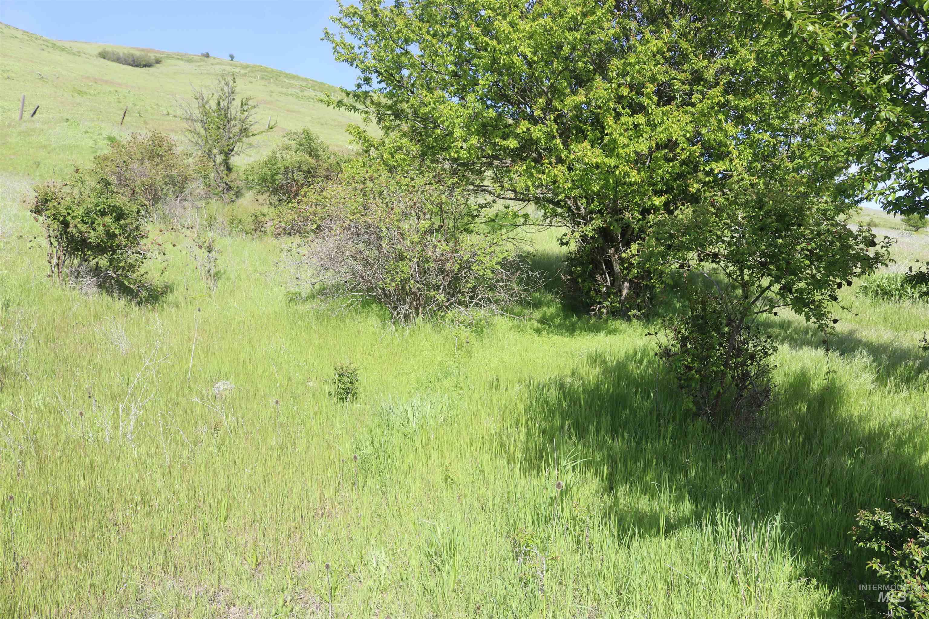 Tbd Sunnyside Bench Road Lenore, ID 83541 - Photo 14 of 37
