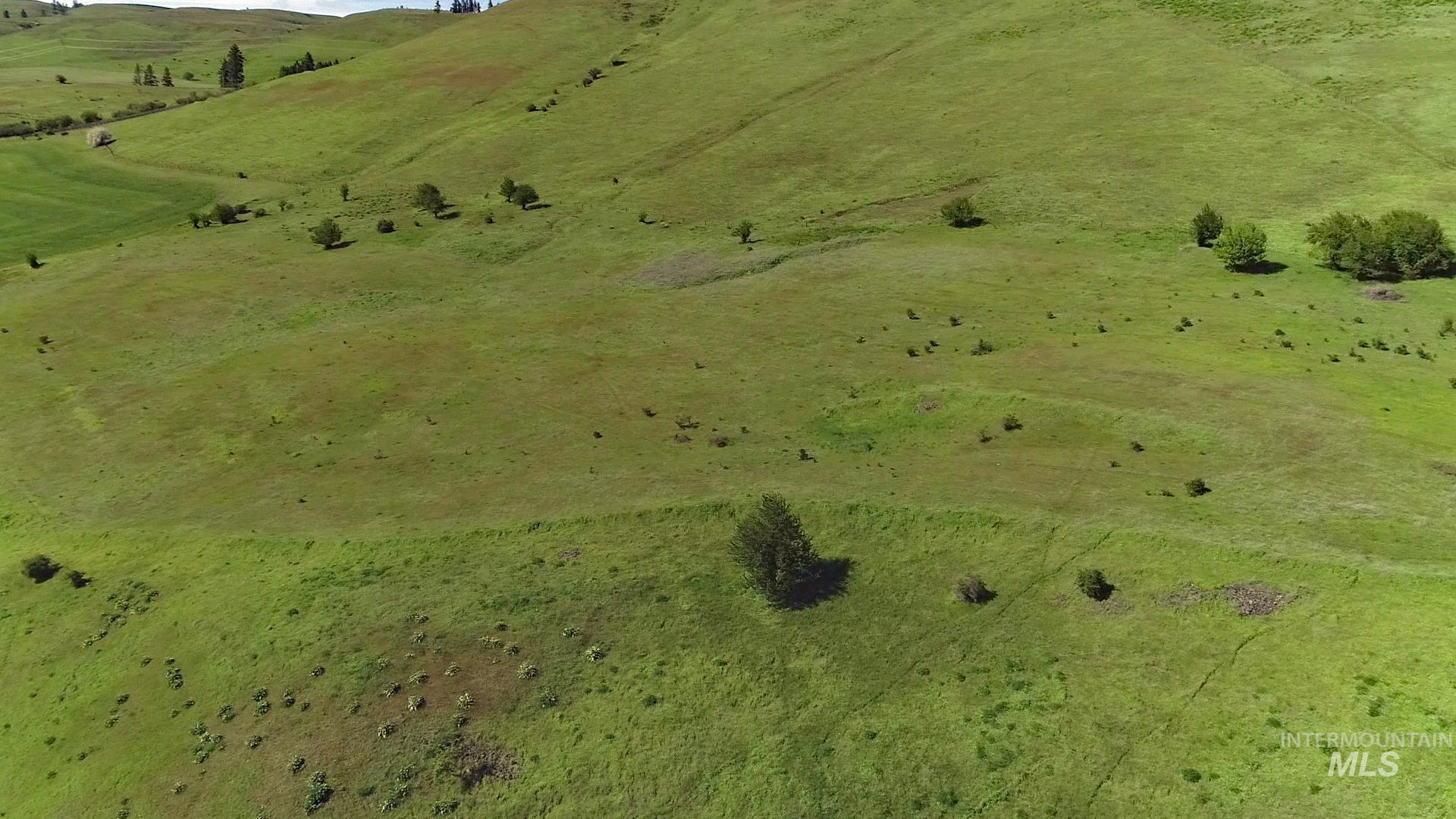 Tbd Sunnyside Bench Road Lenore, ID 83541 - Photo 16 of 37