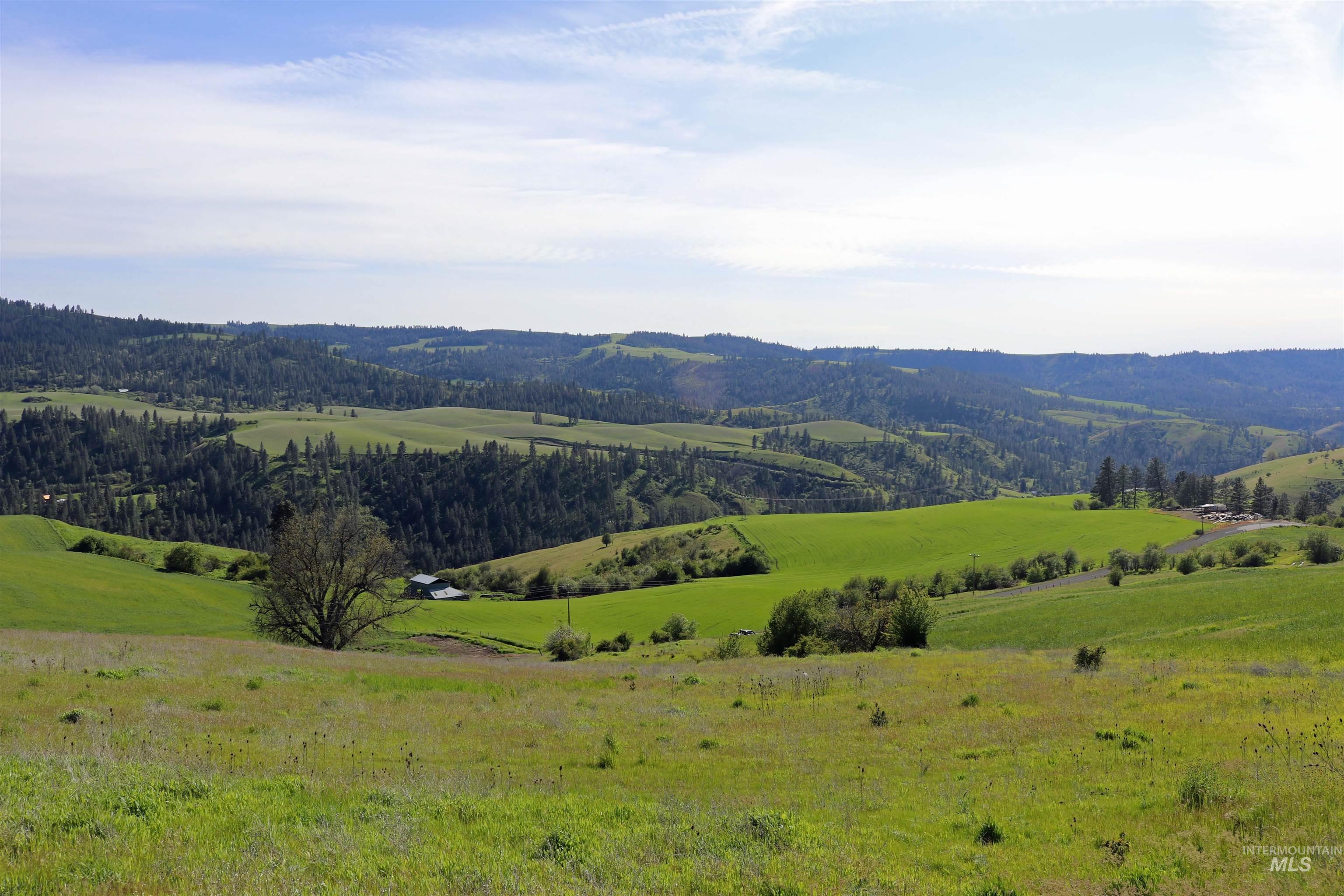 Tbd Sunnyside Bench Road Lenore, ID 83541 - Photo 18 of 37