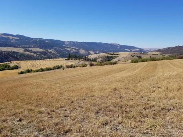 $261,900 | Tbd Sunnyside Bench Road, Lenore, ID 83541
