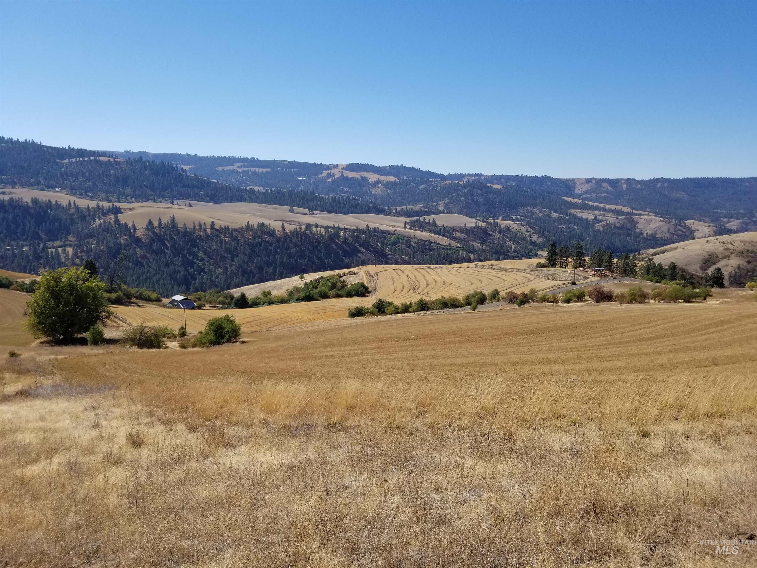 Tbd Sunnyside Bench Road Lenore, ID 83541 - Photo 20 of 37