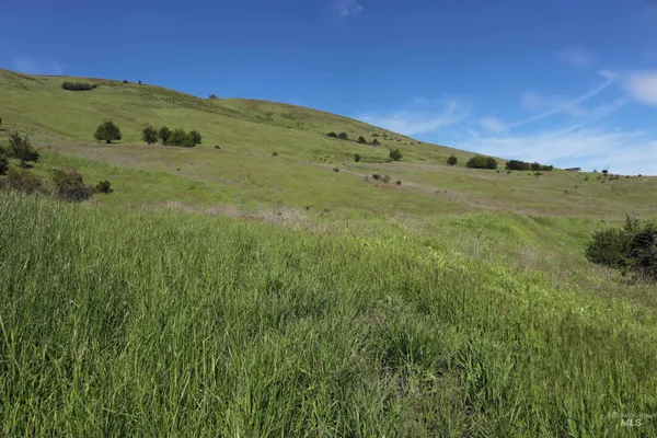 $261,900 | Tbd Sunnyside Bench Road, Lenore, ID 83541