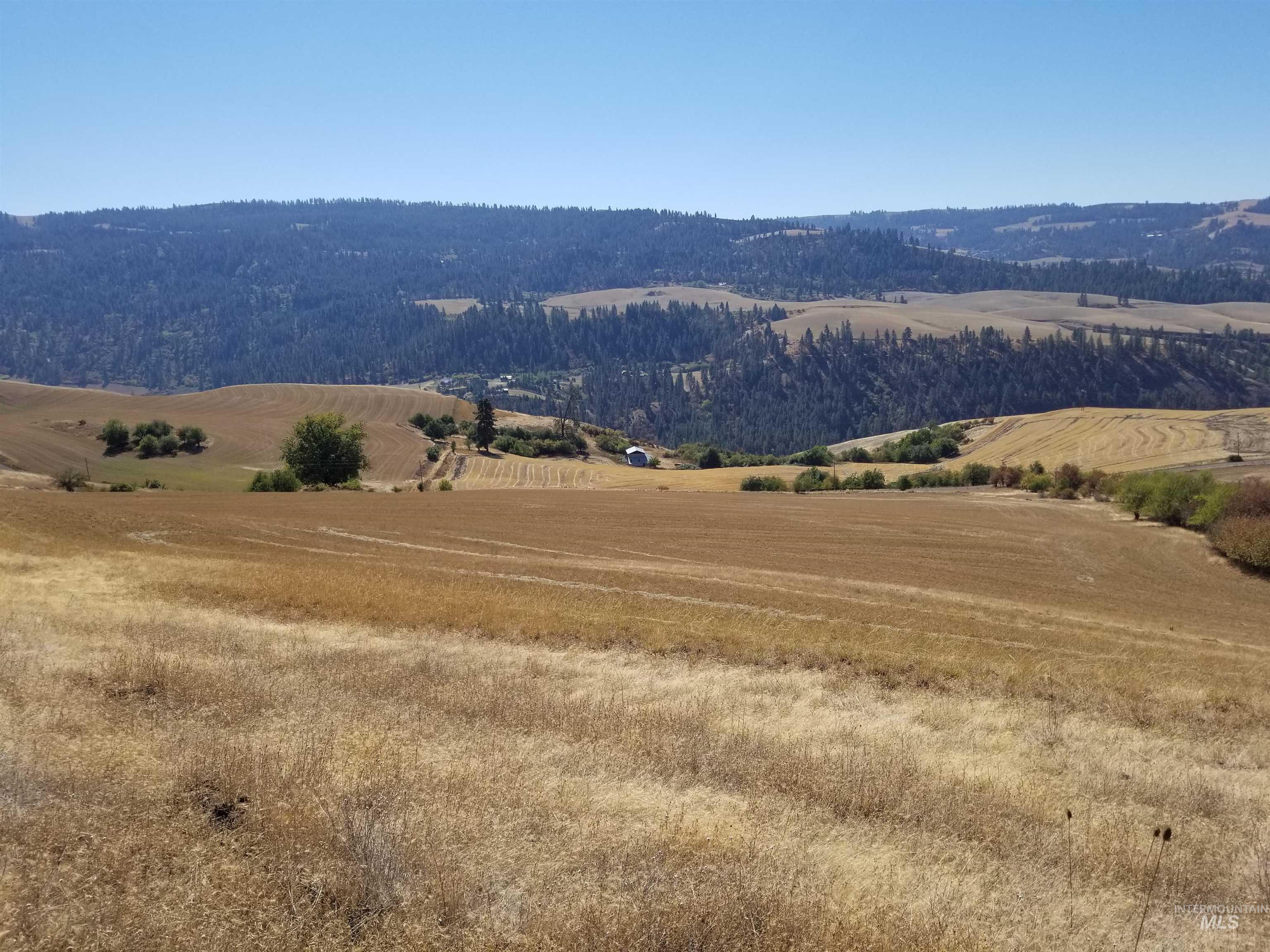 Tbd Sunnyside Bench Road Lenore, ID 83541 - Photo 21 of 37