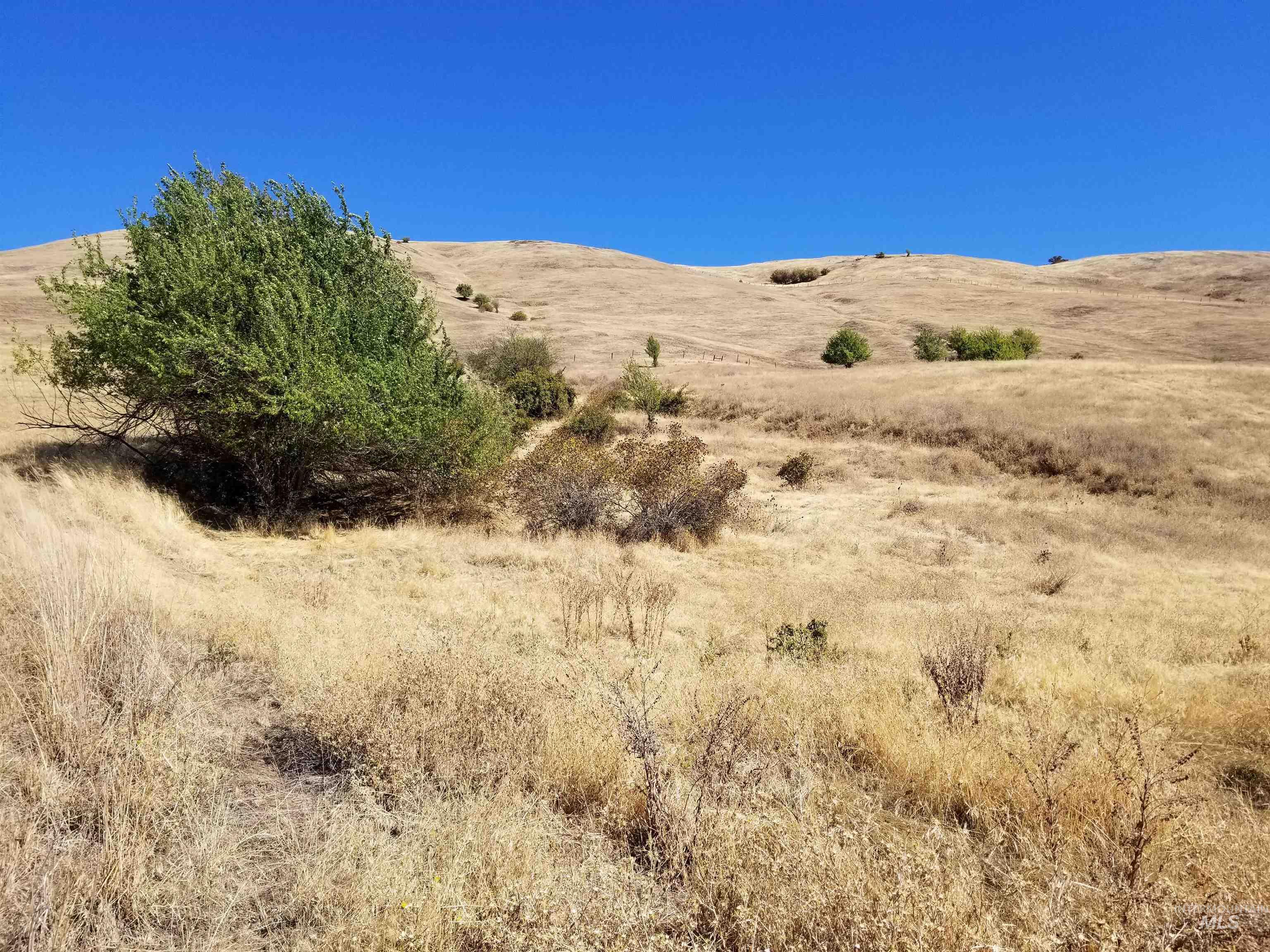 Tbd Sunnyside Bench Road Lenore, ID 83541 - Photo 22 of 37