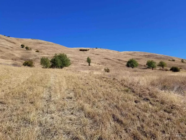 $261,900 | Tbd Sunnyside Bench Road, Lenore, ID 83541