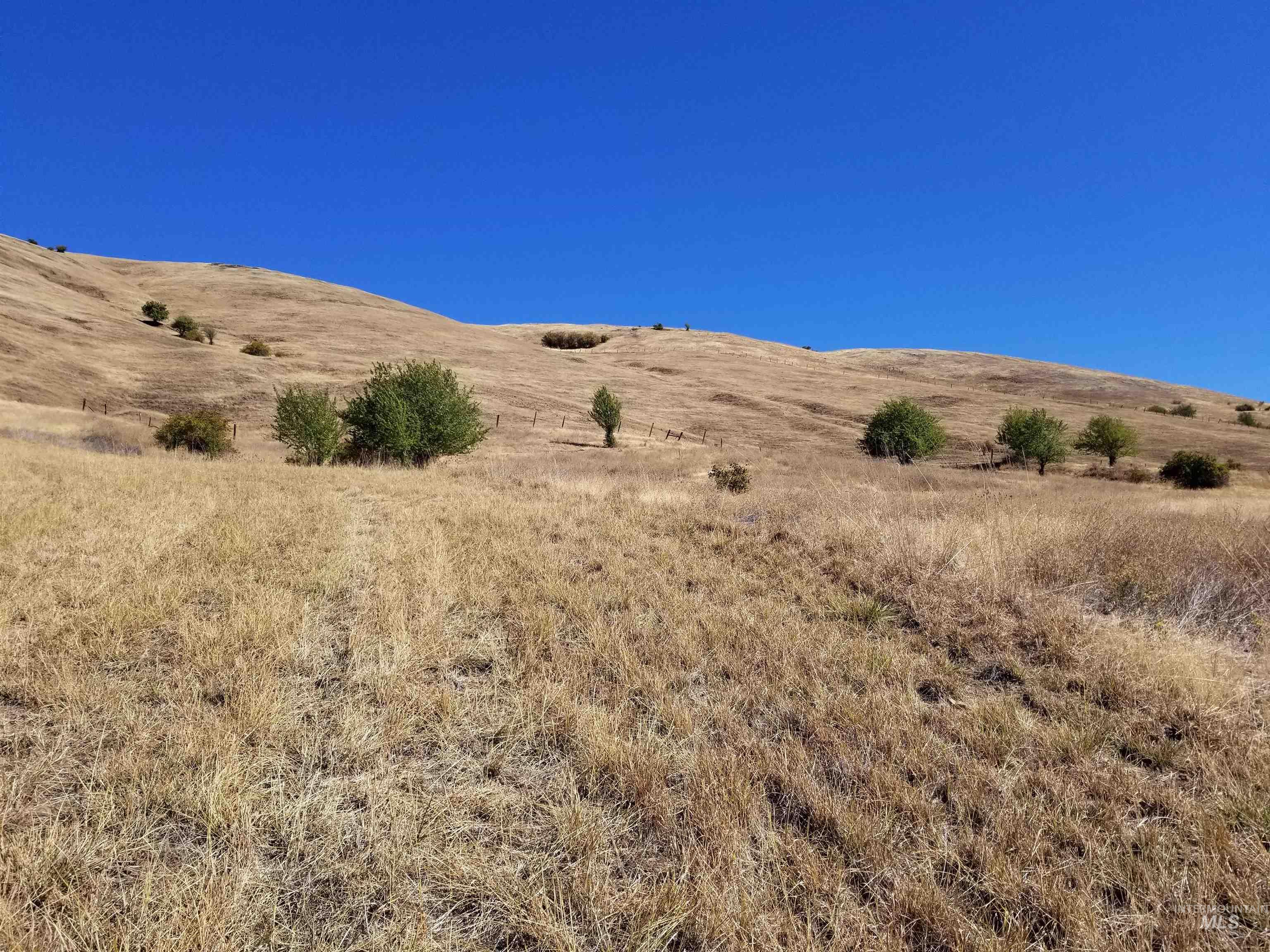 Tbd Sunnyside Bench Road Lenore, ID 83541 - Photo 23 of 37