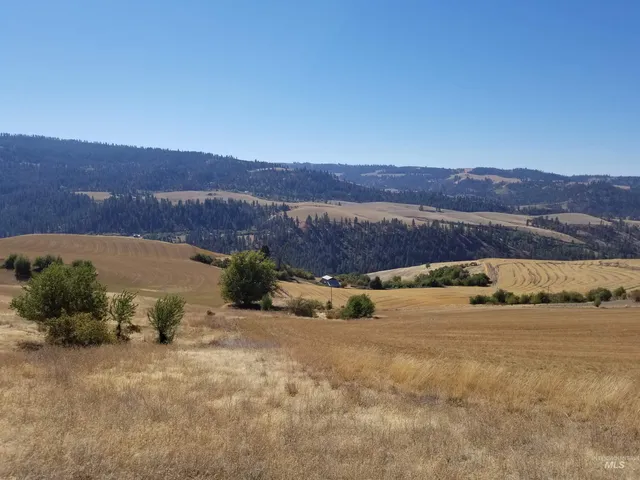 $261,900 | Tbd Sunnyside Bench Road, Lenore, ID 83541