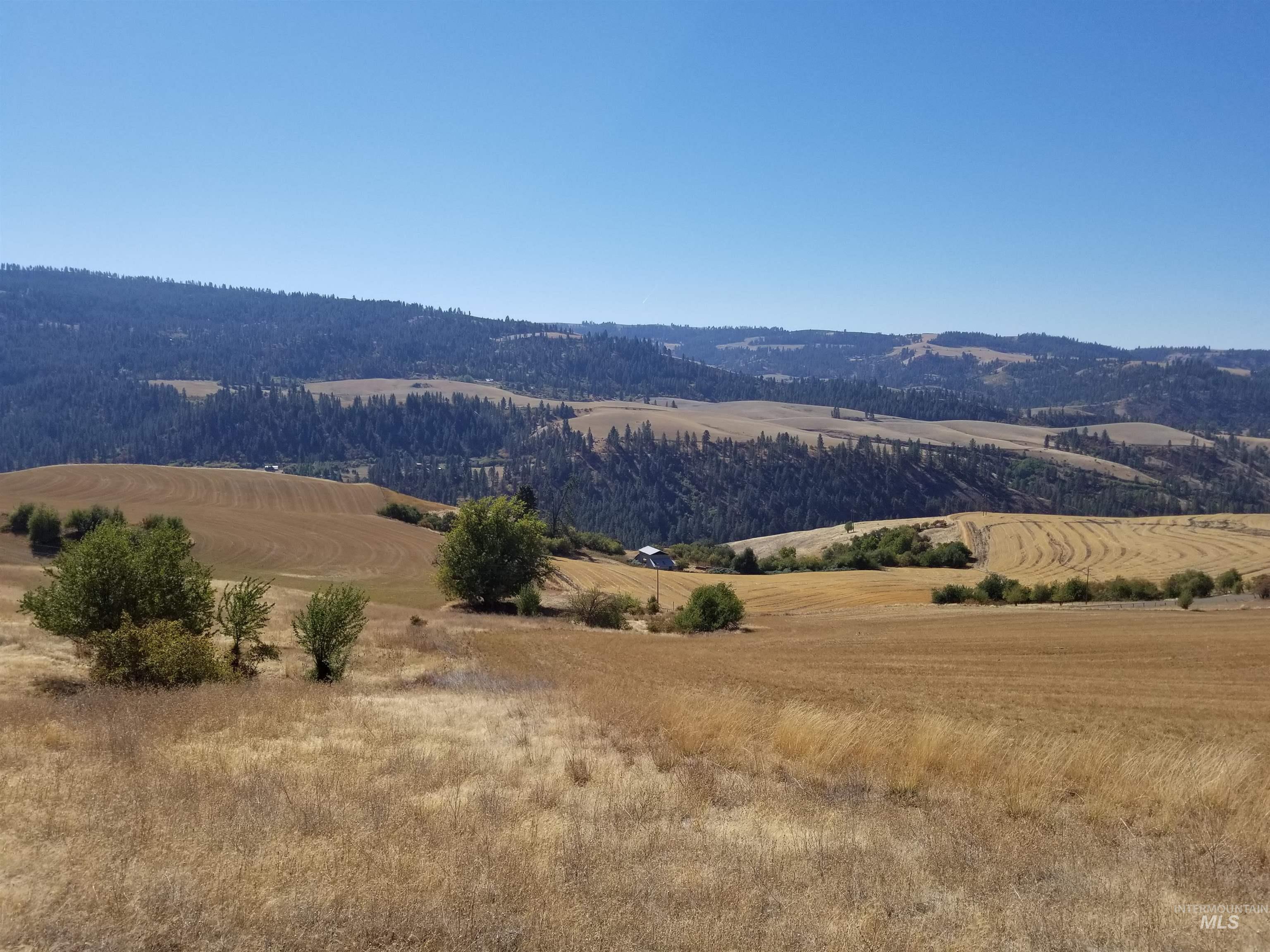 Tbd Sunnyside Bench Road Lenore, ID 83541 - Photo 25 of 37