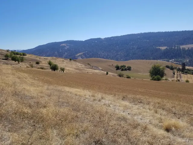 $261,900 | Tbd Sunnyside Bench Road, Lenore, ID 83541