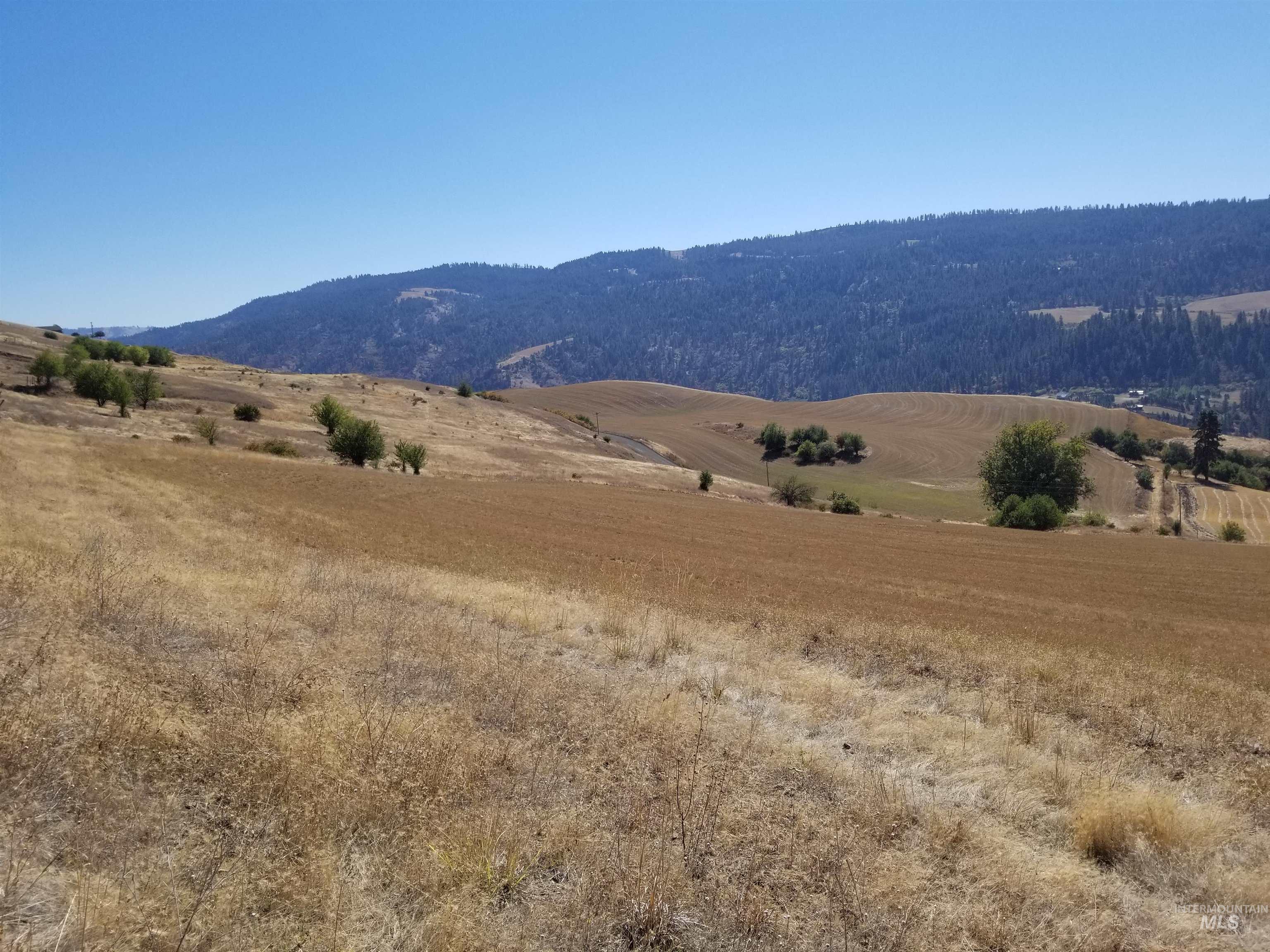 Tbd Sunnyside Bench Road Lenore, ID 83541 - Photo 27 of 37