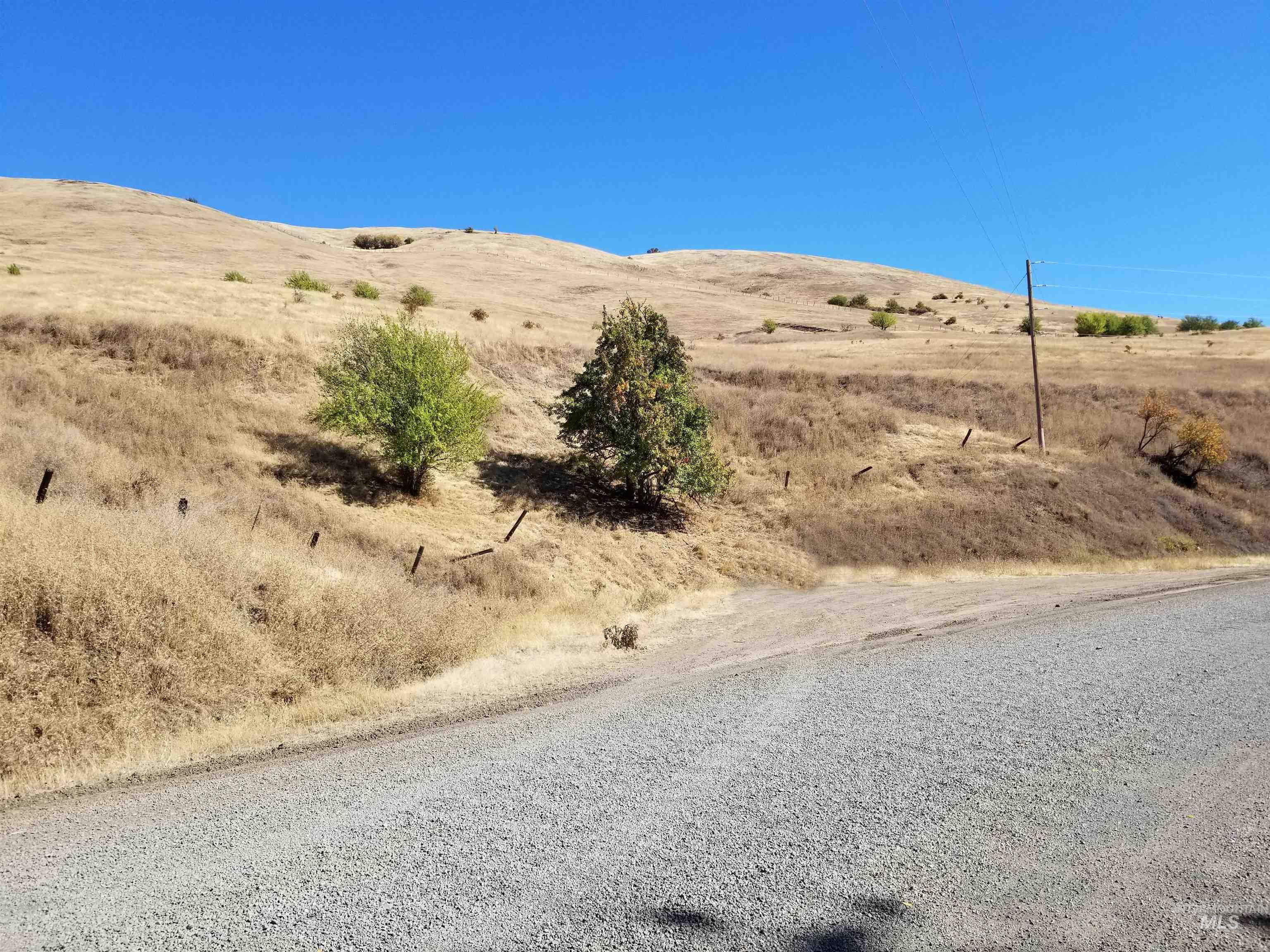 Tbd Sunnyside Bench Road Lenore, ID 83541 - Photo 29 of 37