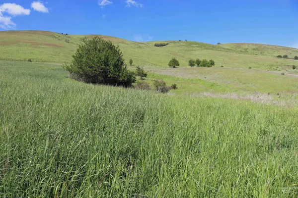 $261,900 | Tbd Sunnyside Bench Road, Lenore, ID 83541