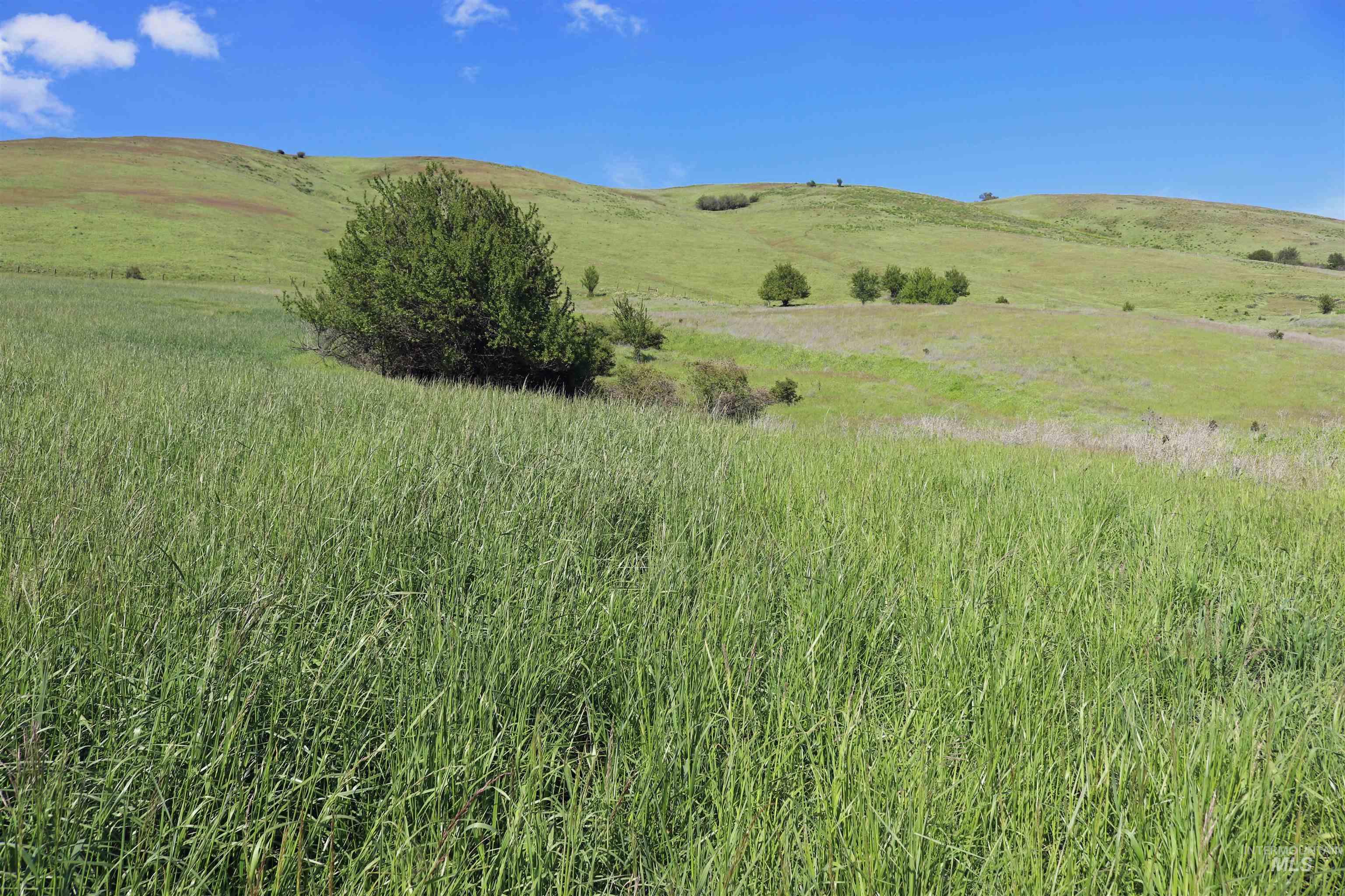 Tbd Sunnyside Bench Road Lenore, ID 83541 - Photo 3 of 37