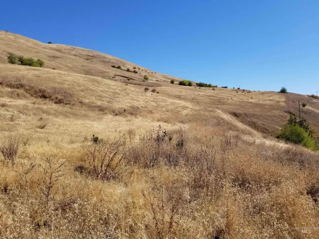 $261,900 | Tbd Sunnyside Bench Road, Lenore, ID 83541