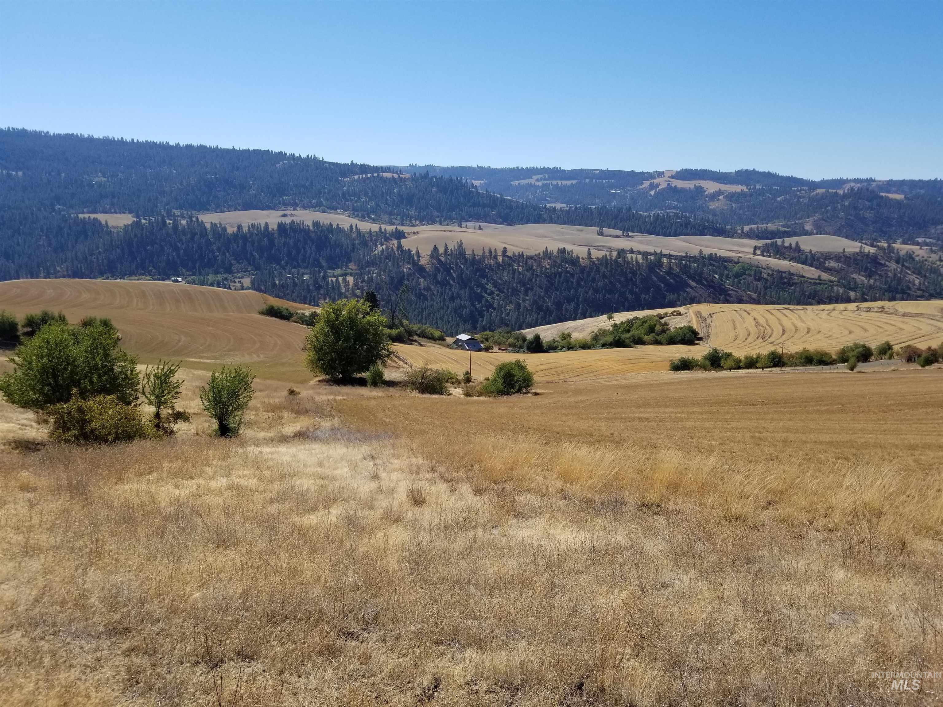 Tbd Sunnyside Bench Road Lenore, ID 83541 - Photo 34 of 37