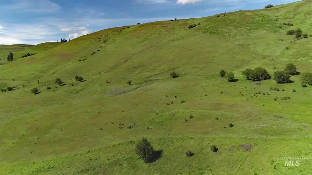 $261,900 | Tbd Sunnyside Bench Road, Lenore, ID 83541