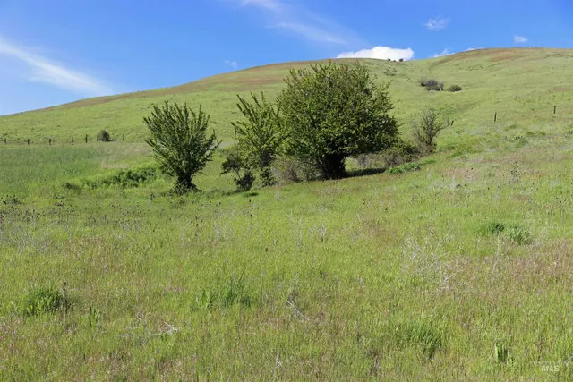 $261,900 | Tbd Sunnyside Bench Road, Lenore, ID 83541
