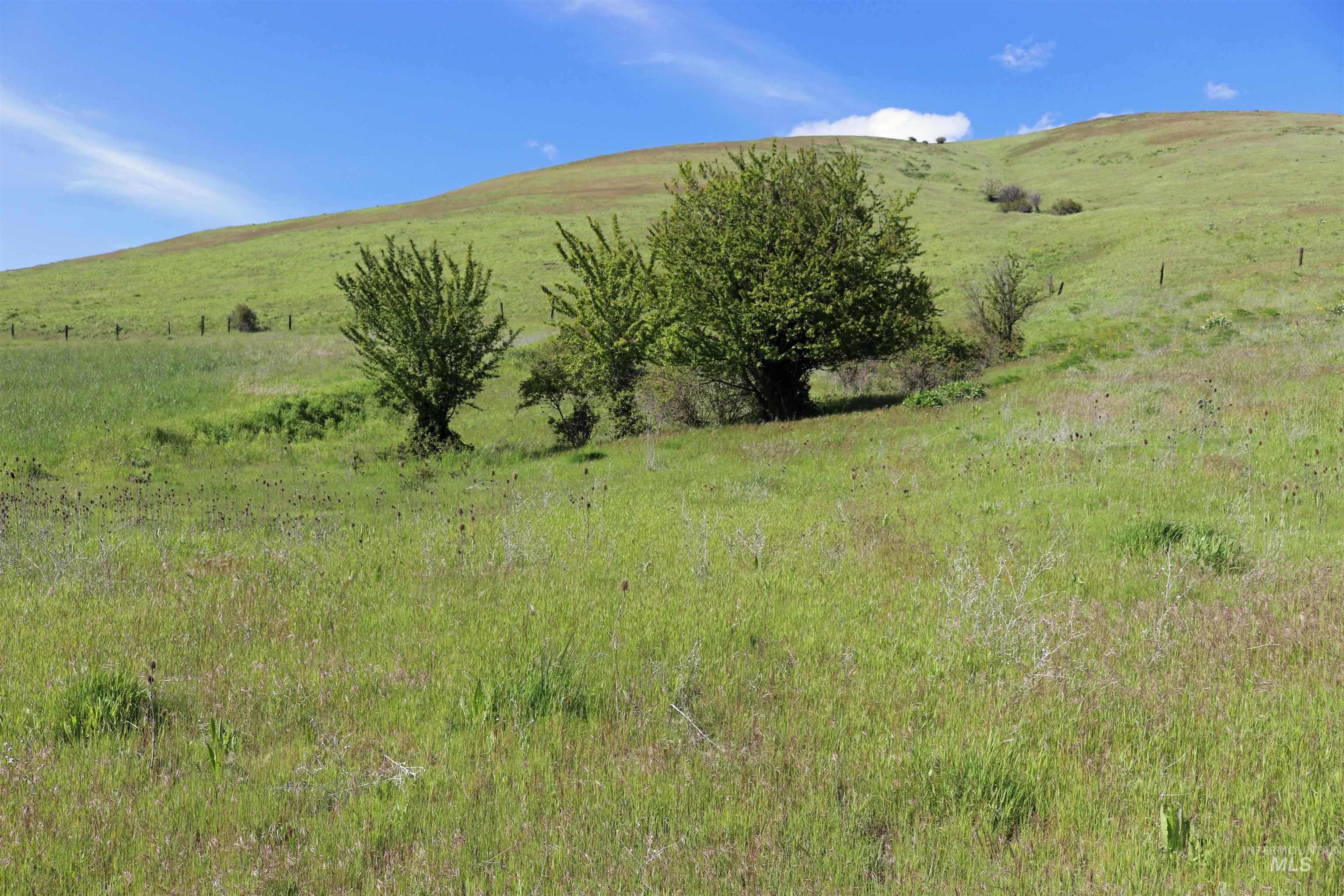Tbd Sunnyside Bench Road Lenore, ID 83541 - Photo 5 of 37
