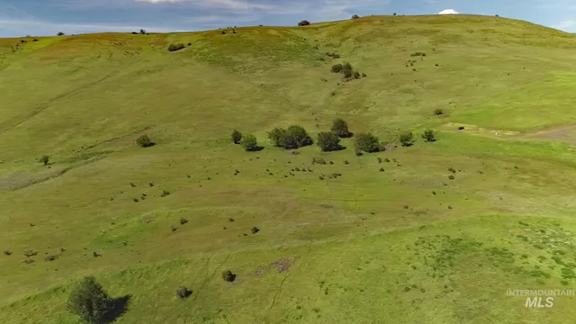 $261,900 | Tbd Sunnyside Bench Road, Lenore, ID 83541