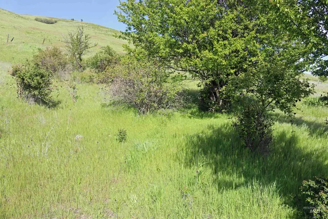 $261,900 | Tbd Sunnyside Bench Road, Lenore, ID 83541