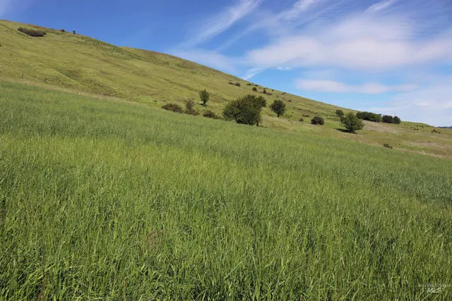 $261,900 | Tbd Sunnyside Bench Road, Lenore, ID 83541