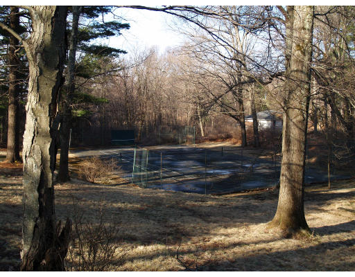 69 Silver Hill Road Lincoln, MA 01773 - Photo 9 of 9 a view of yard