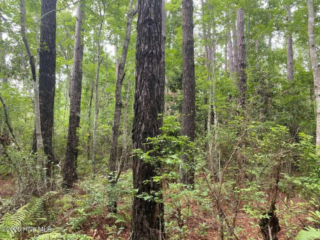 $60,000 | 0 Lake Cole Road, Midway Park, NC 28544