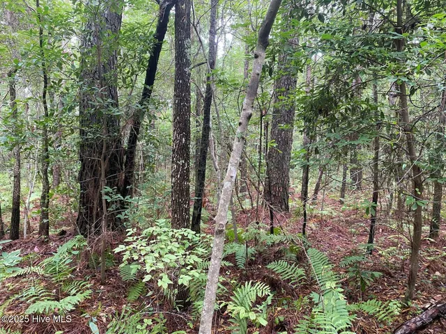 $60,000 | 0 Lake Cole Road, Midway Park, NC 28544